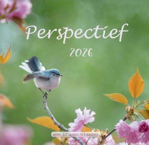 Perspectief - kalender 2026